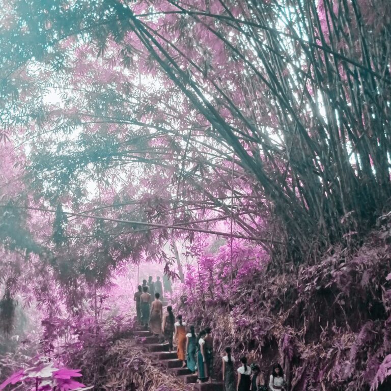 Tutur Saleh: Semesta Tubuh yang Mengais Suara Rupa Alam Kebudayaan