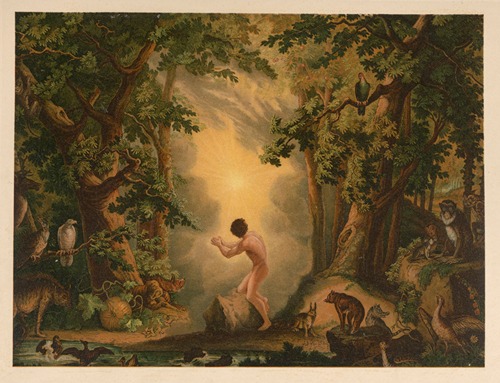 The Old Man and The Trees